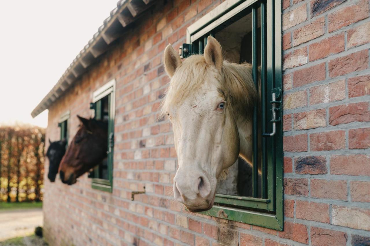 De Dommelhoeve Peer Buitenkant foto