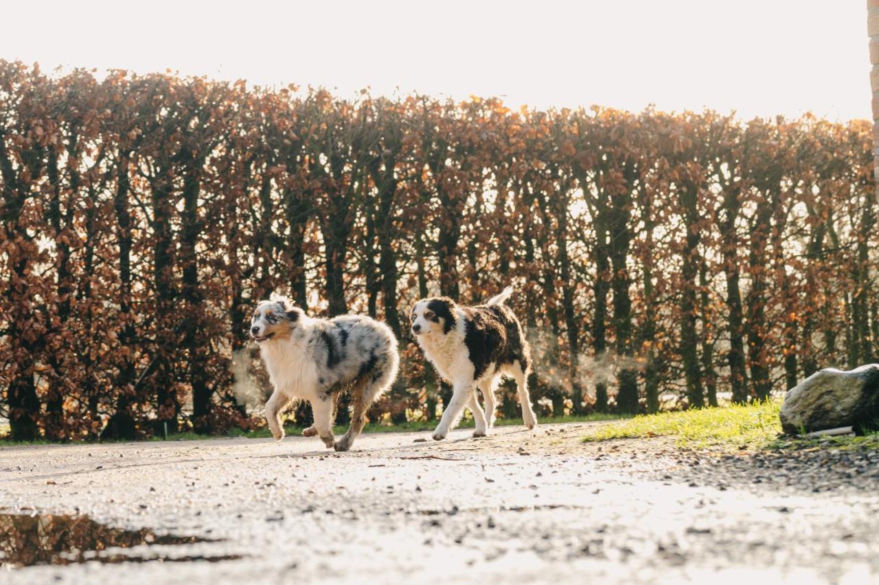 De Dommelhoeve Peer Buitenkant foto
