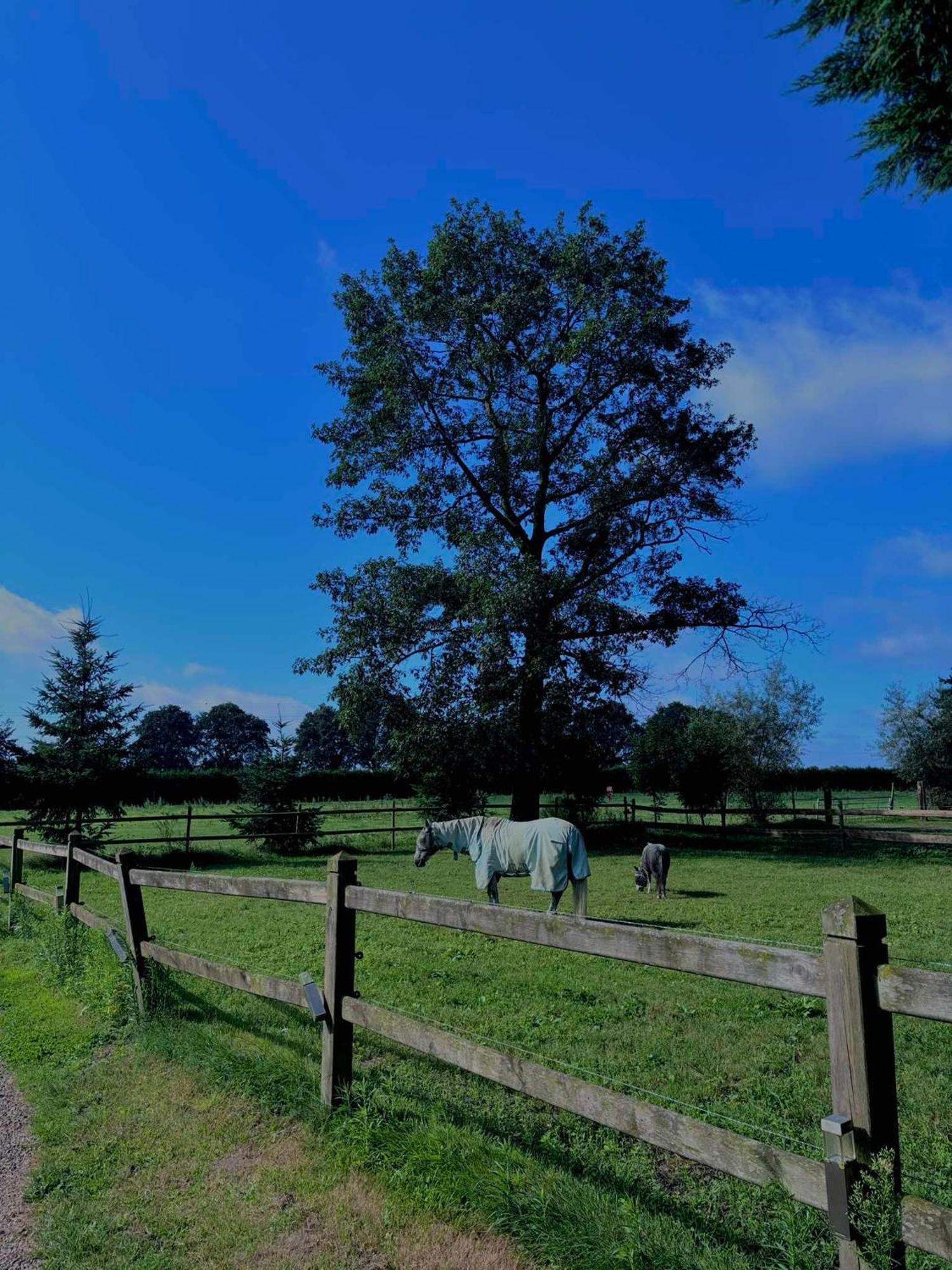 De Dommelhoeve Peer Buitenkant foto