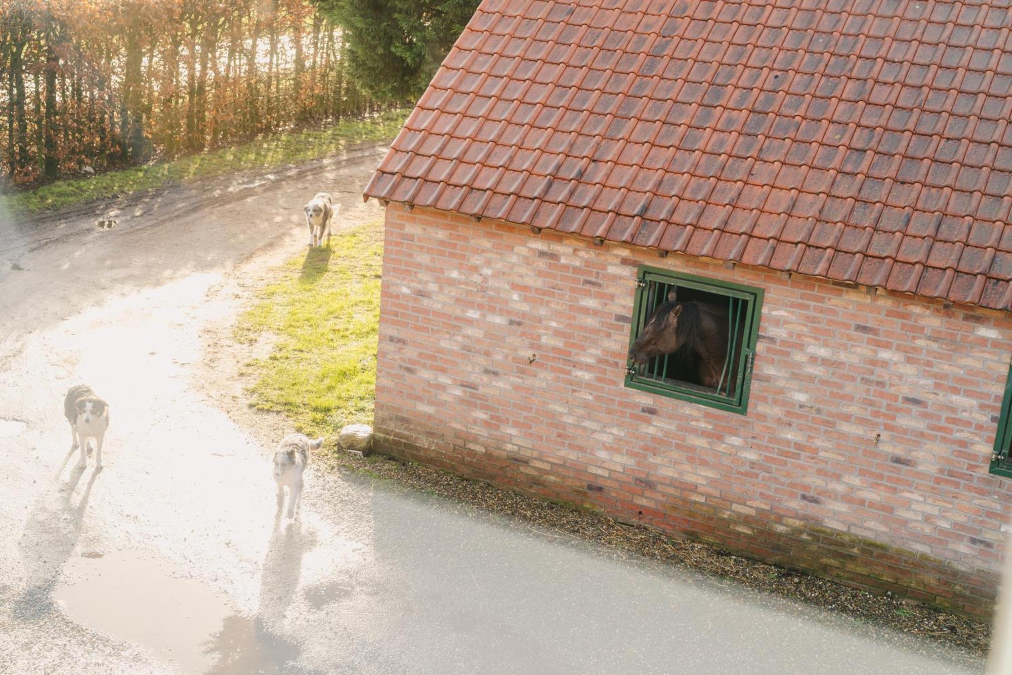 De Dommelhoeve Peer Buitenkant foto